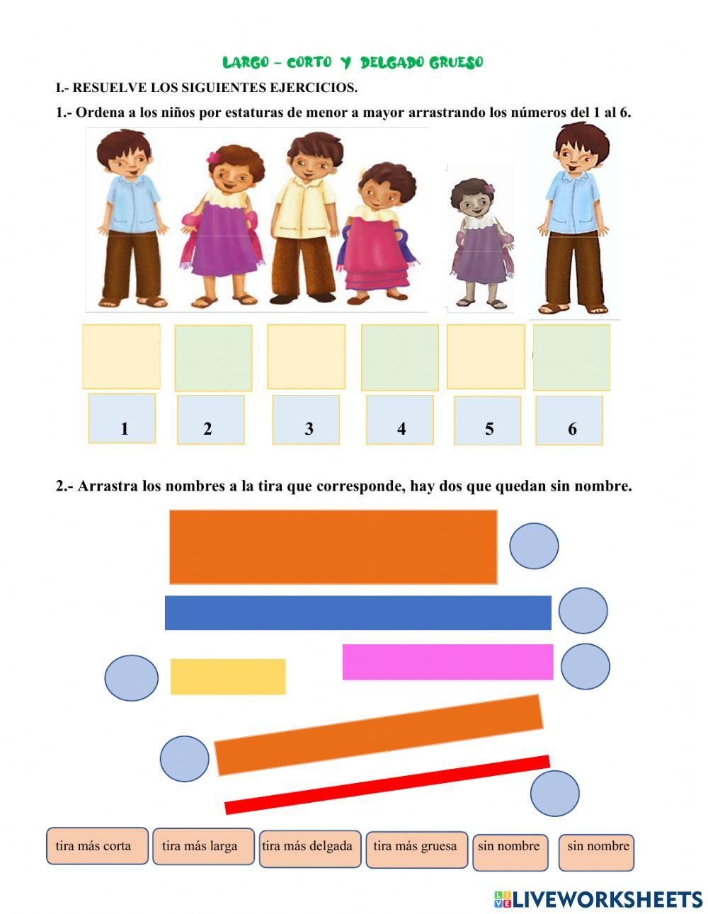 Largo-corto y delgado-grueso