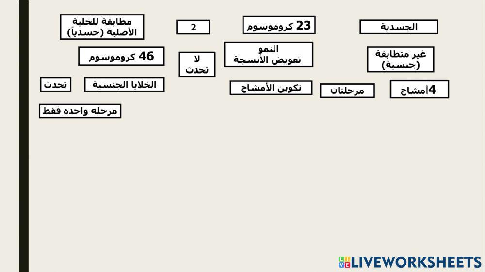 مقارنة بين الانقسام المتساوي والمنصف