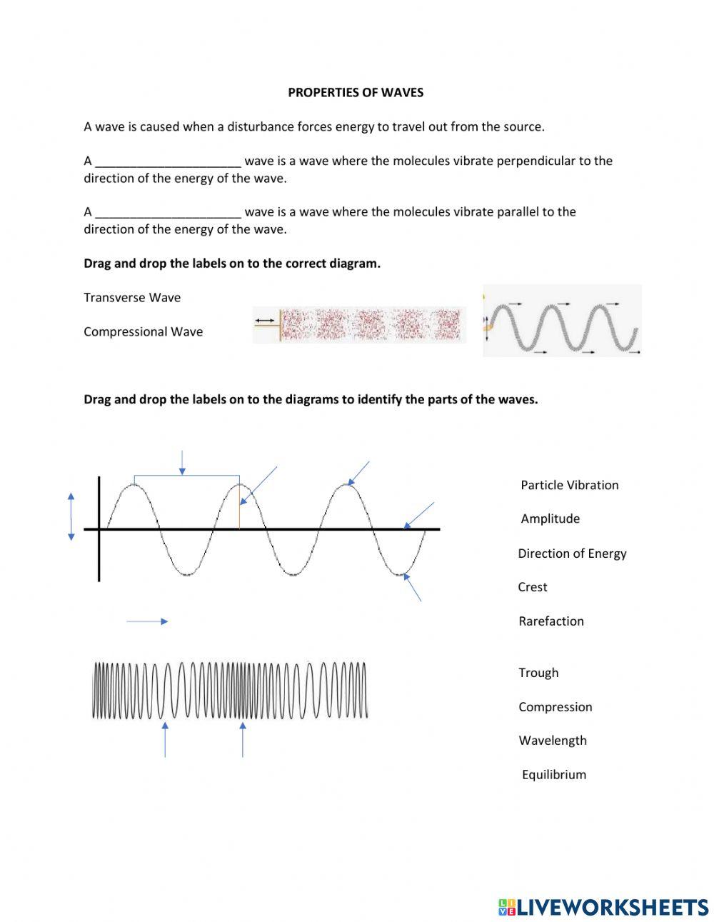 Wave Basics worksheet | Live Worksheets wave-basics-worksheet-live-worksheets