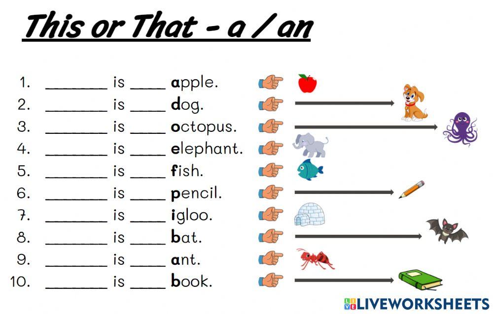 This - that - a - an