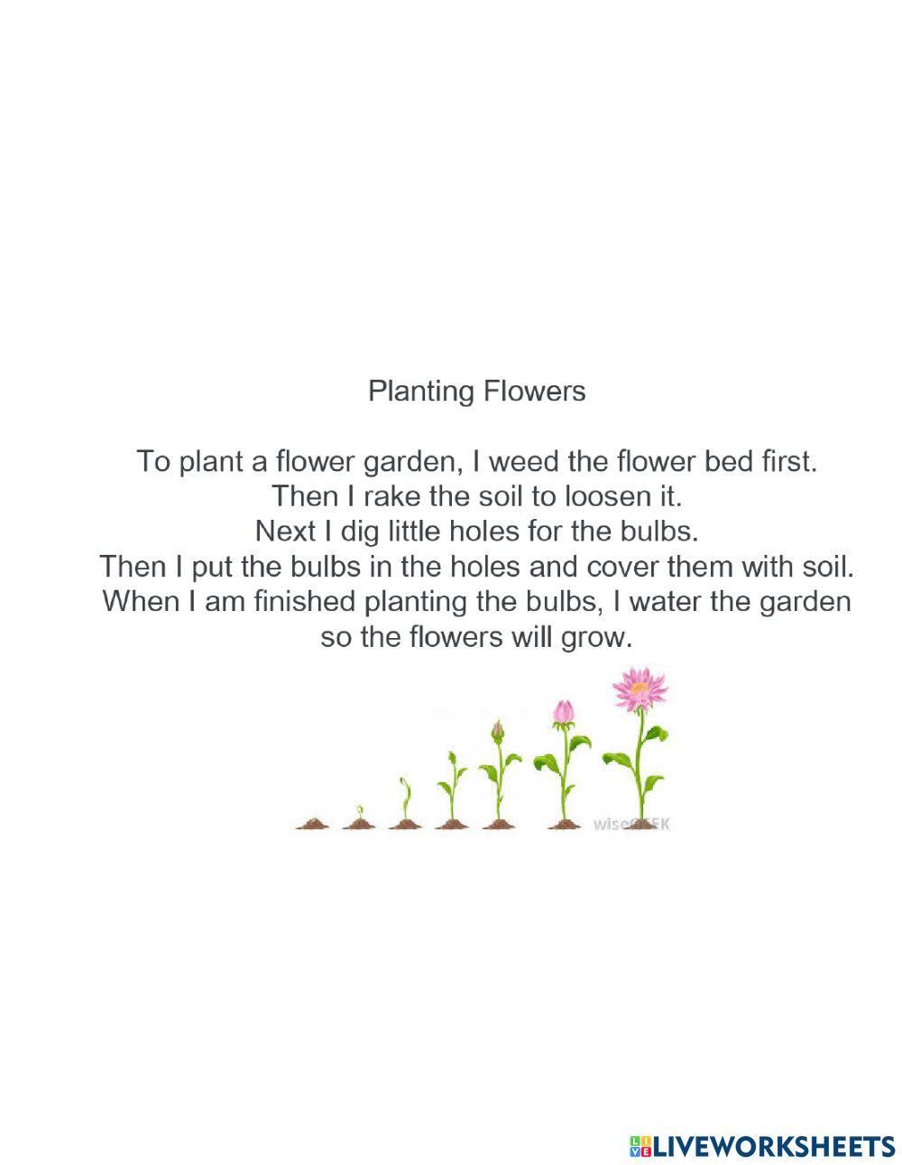 Planting flowers sequencing