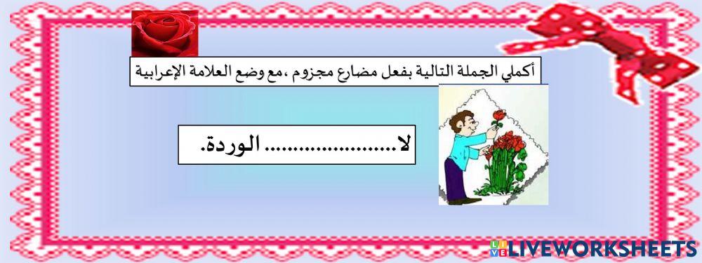 ااااااااااااااااااااااااا