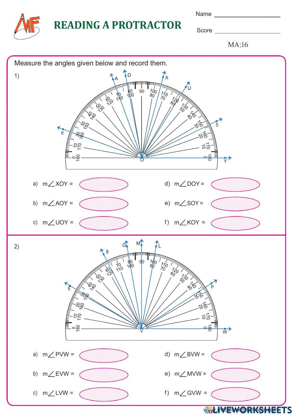 Measuring Angles using a protractor