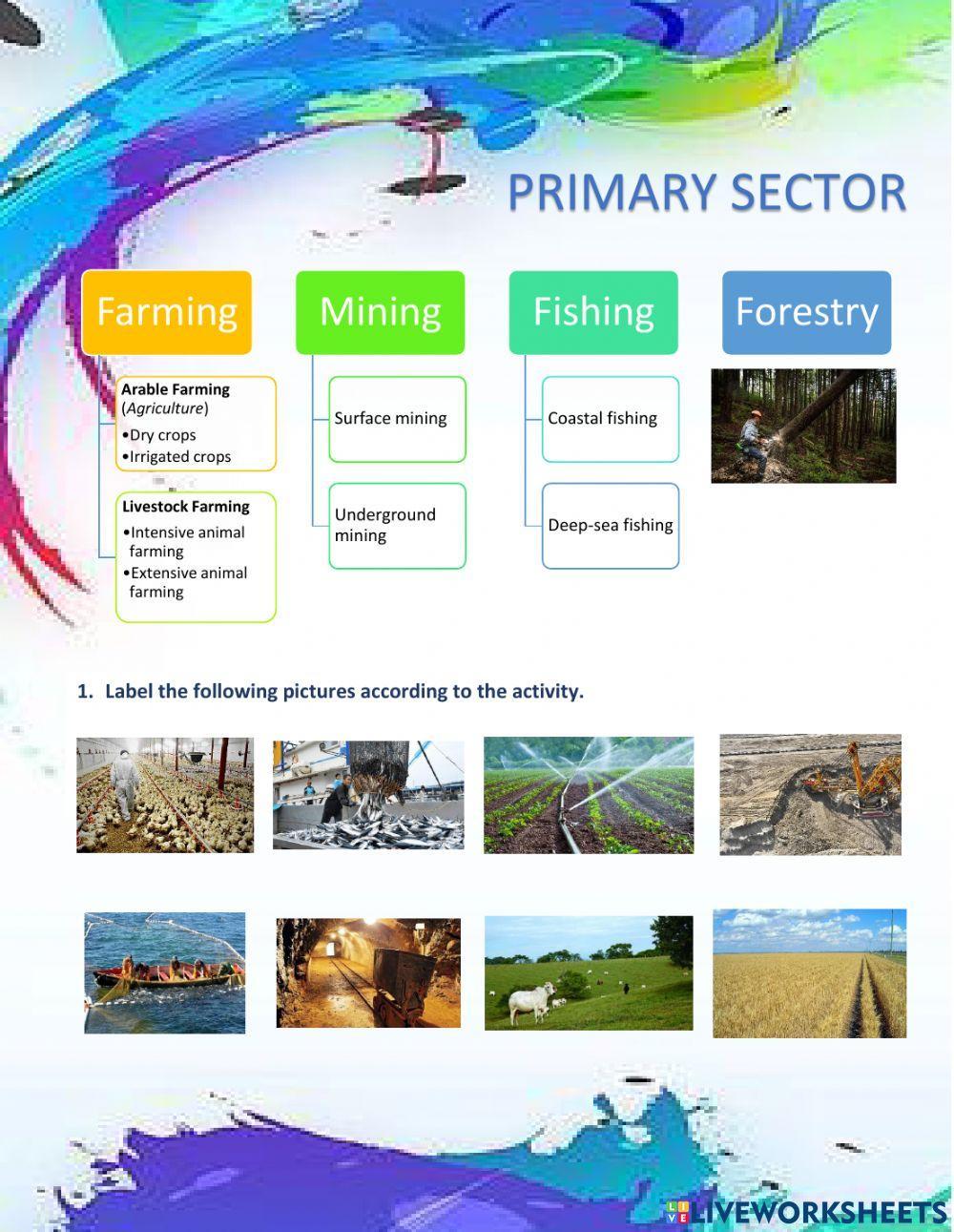 Primary Sector