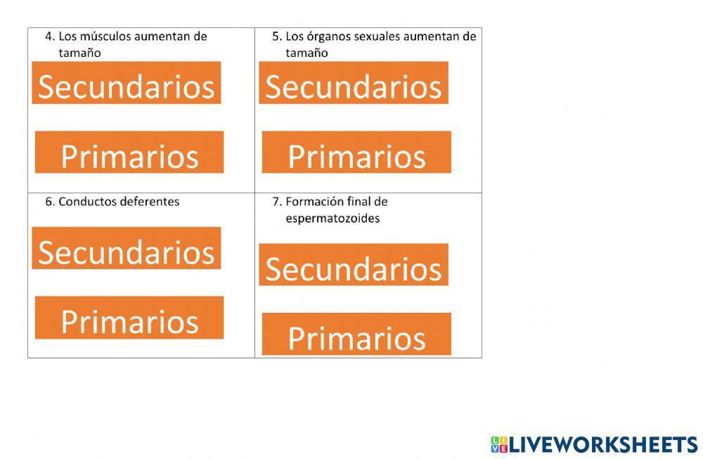 Caracteres secundarios y primarios en hombre