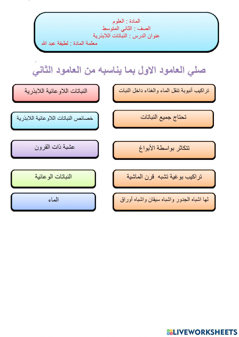 النباتات اللابذرية