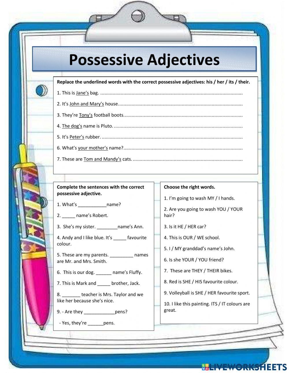 Possessive adjectives
