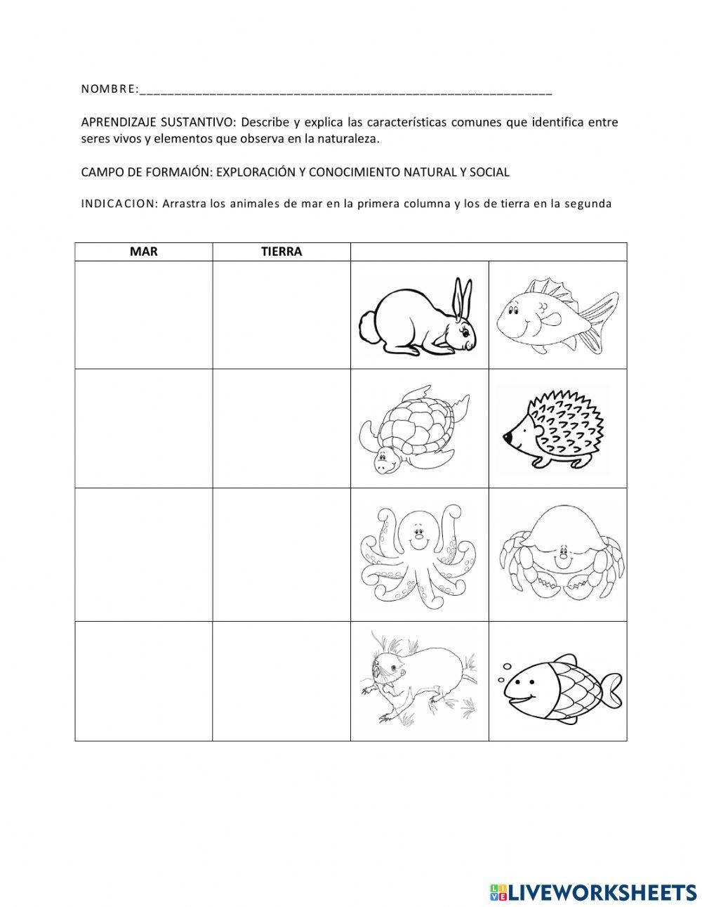 Animales del mar y la tierra