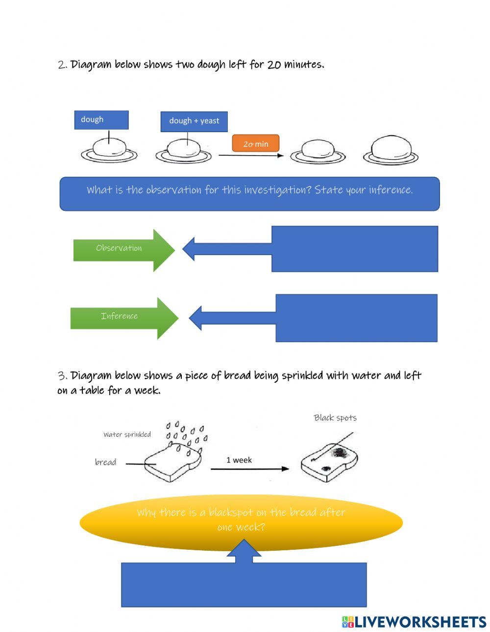 Microorganism life processes