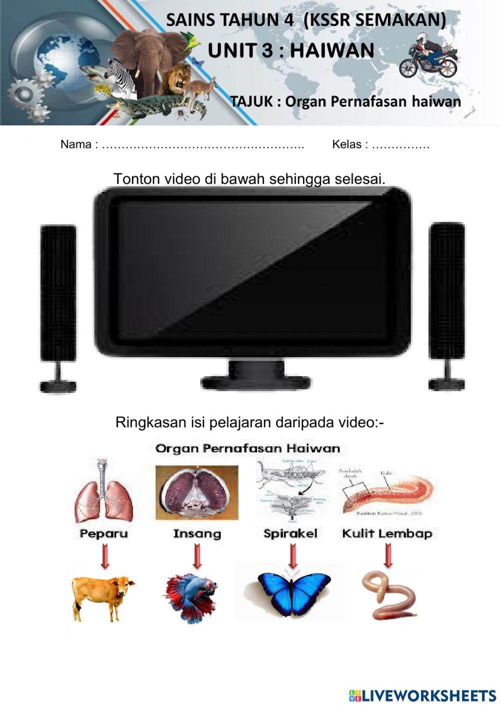 Organ Pernafasan Haiwan