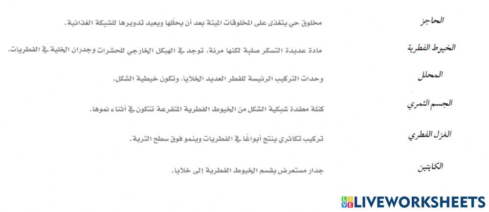 تركيب الفطريات