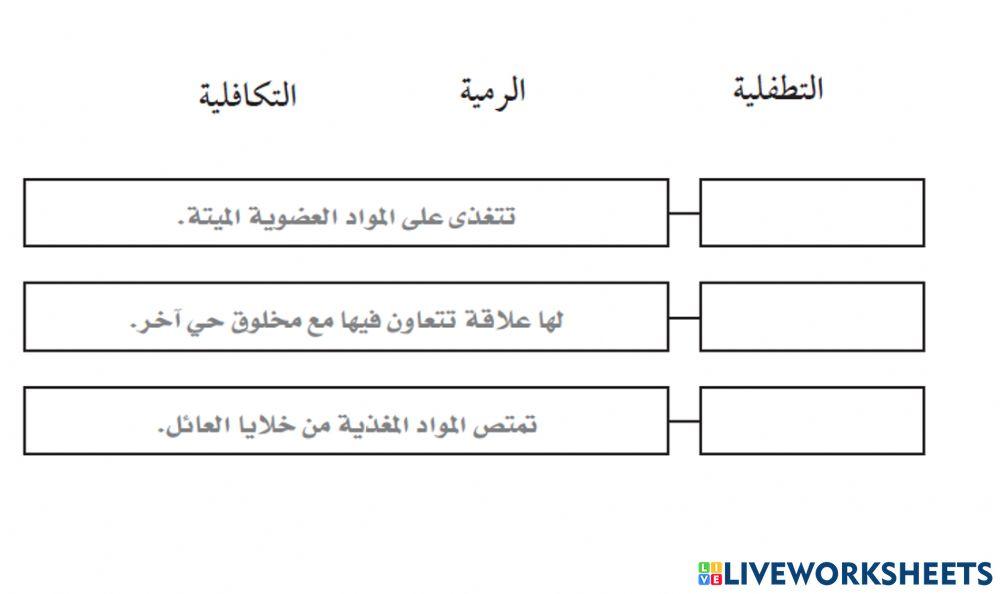 تغذية الفطريات