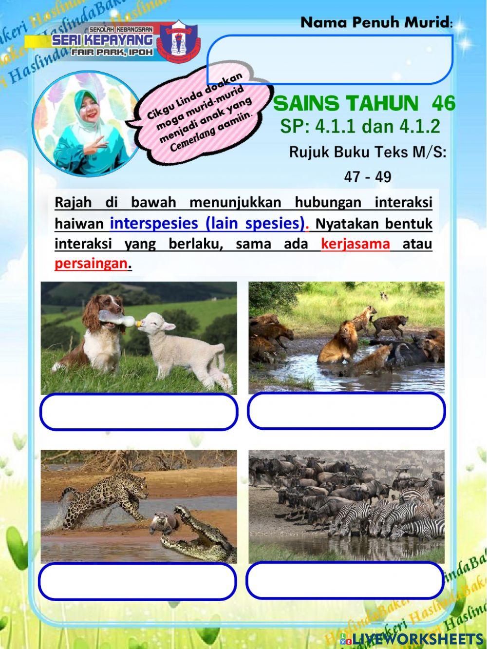 Sains Tahun 6 : Interaksi Hidupan