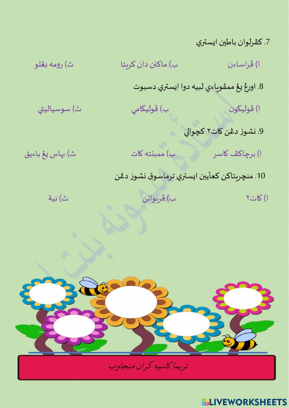 Usth Maimunah bt Abu: Nusyuz