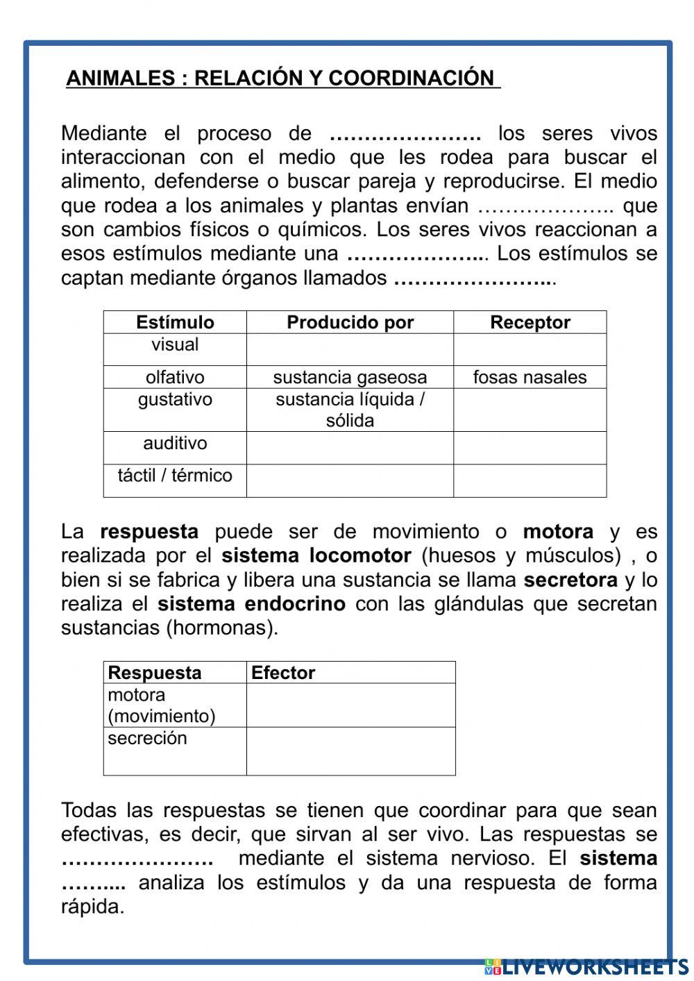 Coordinación animales