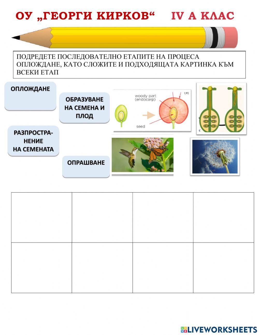 Размножаване1