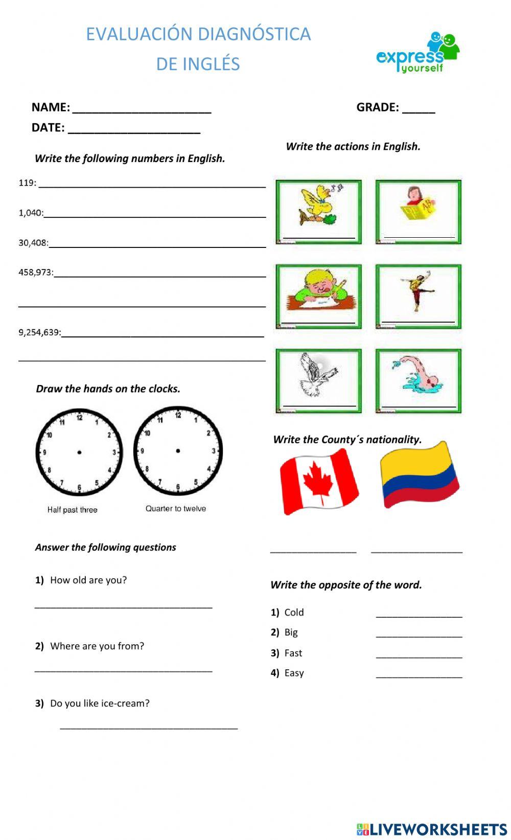 Diagnostic Evaluation