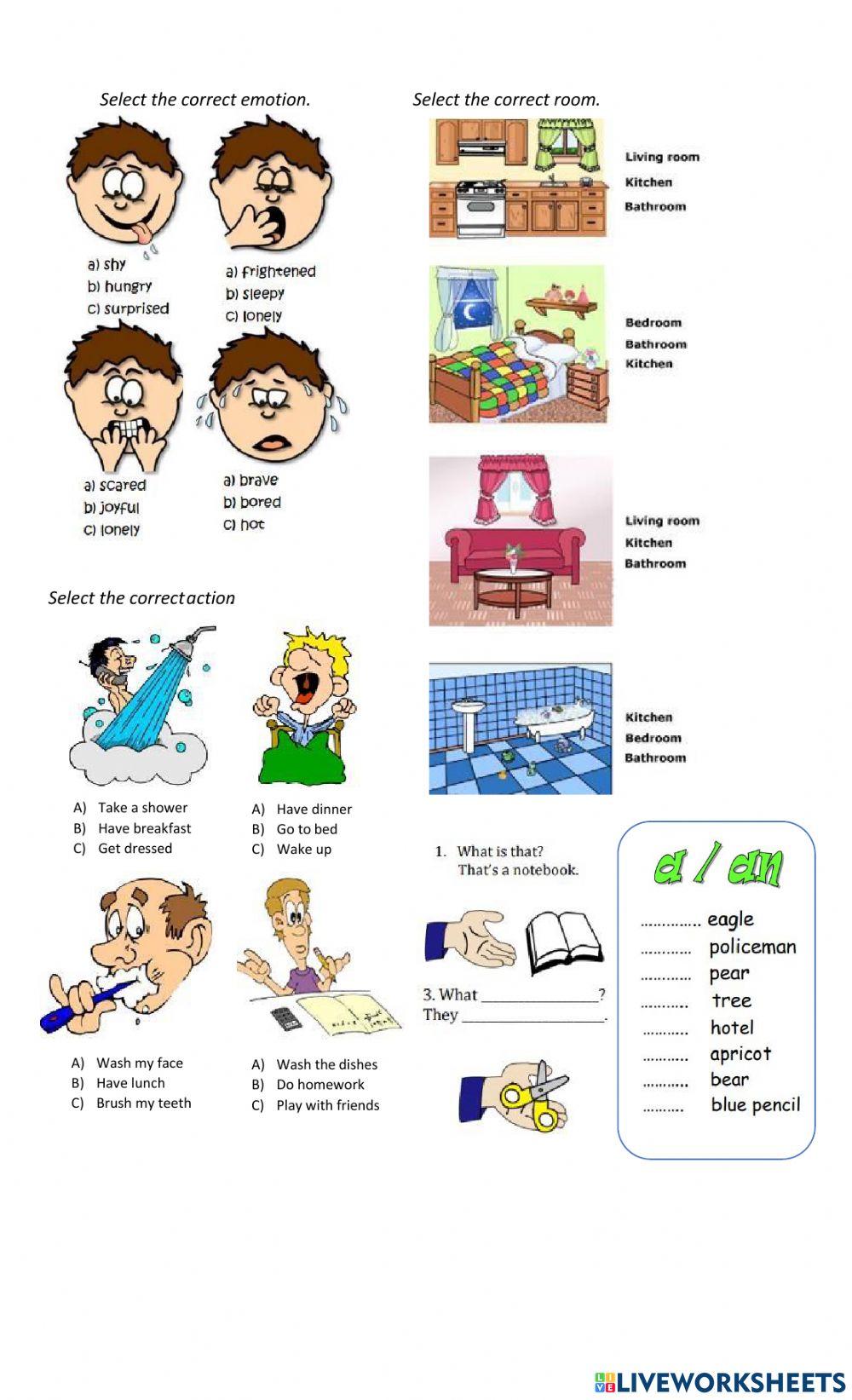 Diagnostic Evaluation