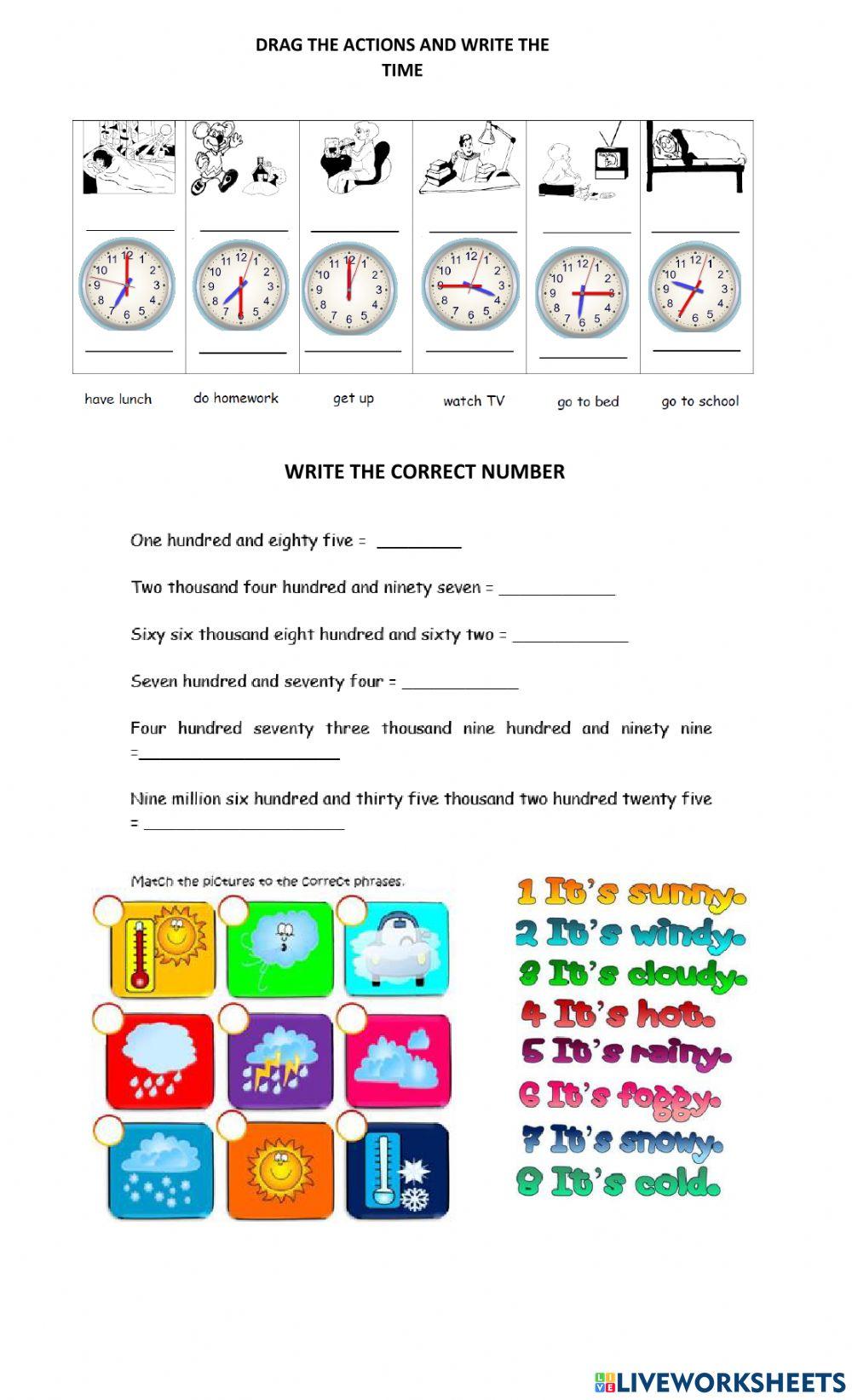 Diagnostic Evaluation