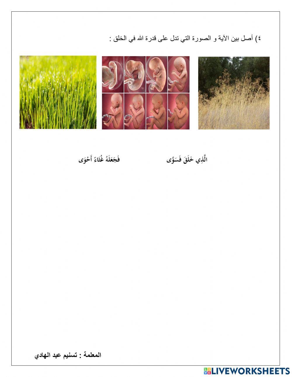 ورقة عمل سورة الأعلى