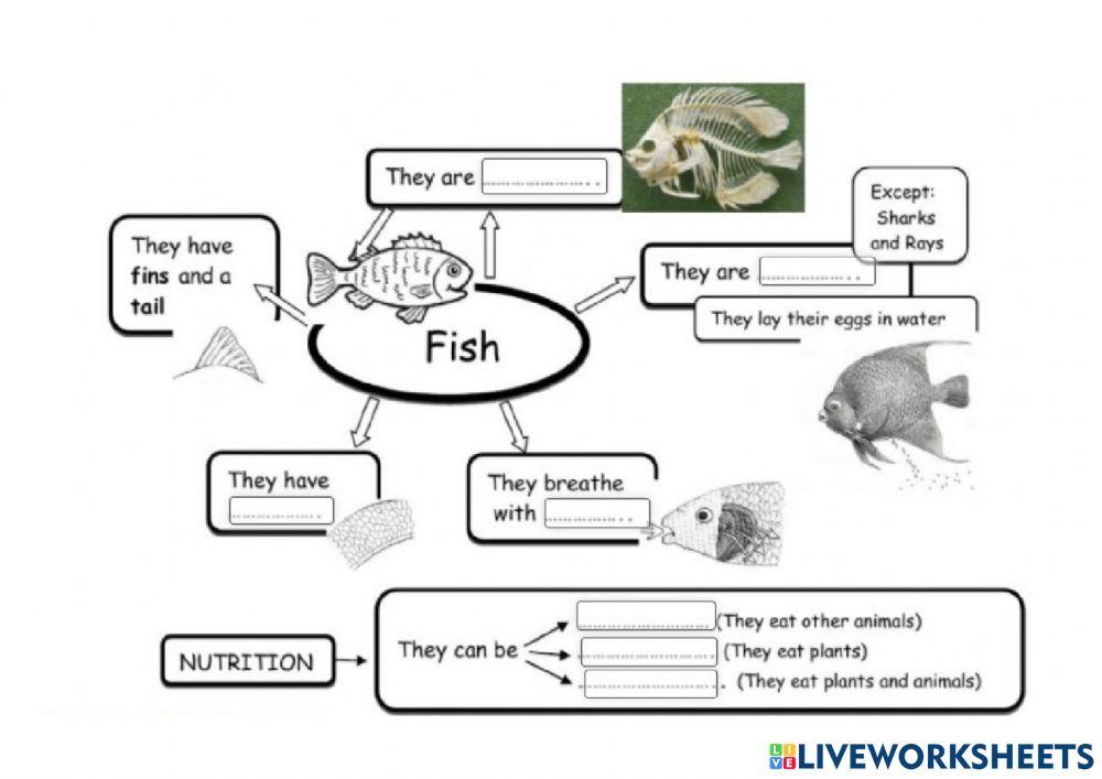 Amphibias and Fish