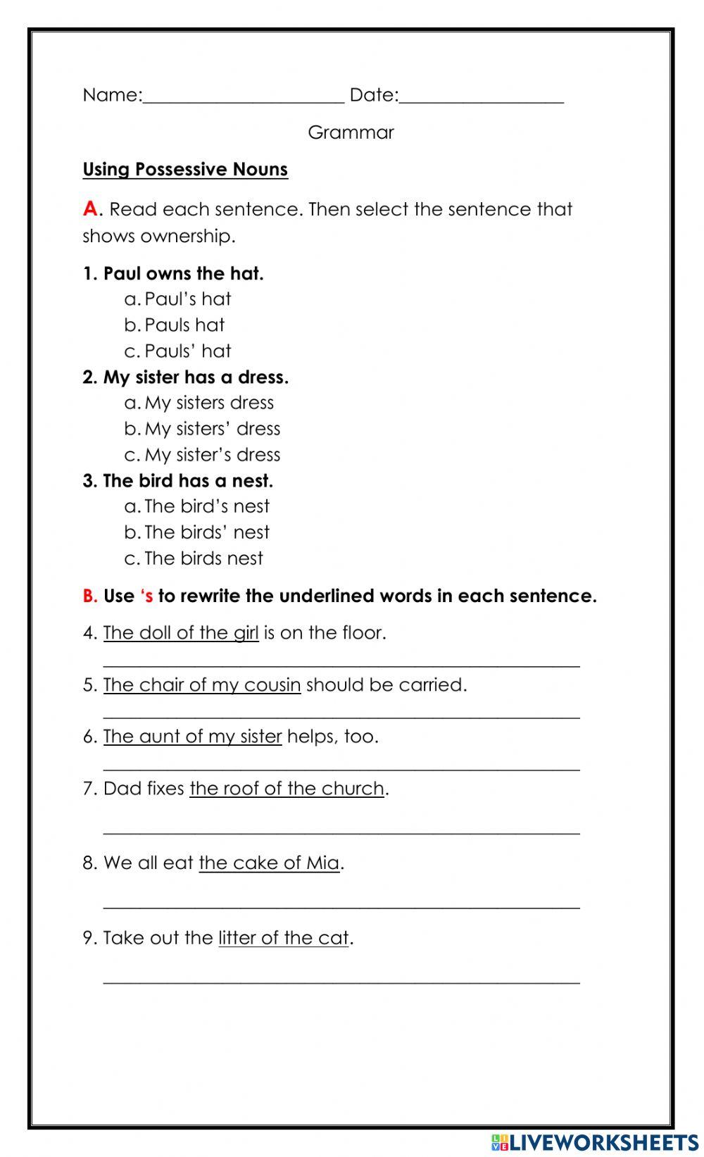 Using Possessive Nouns