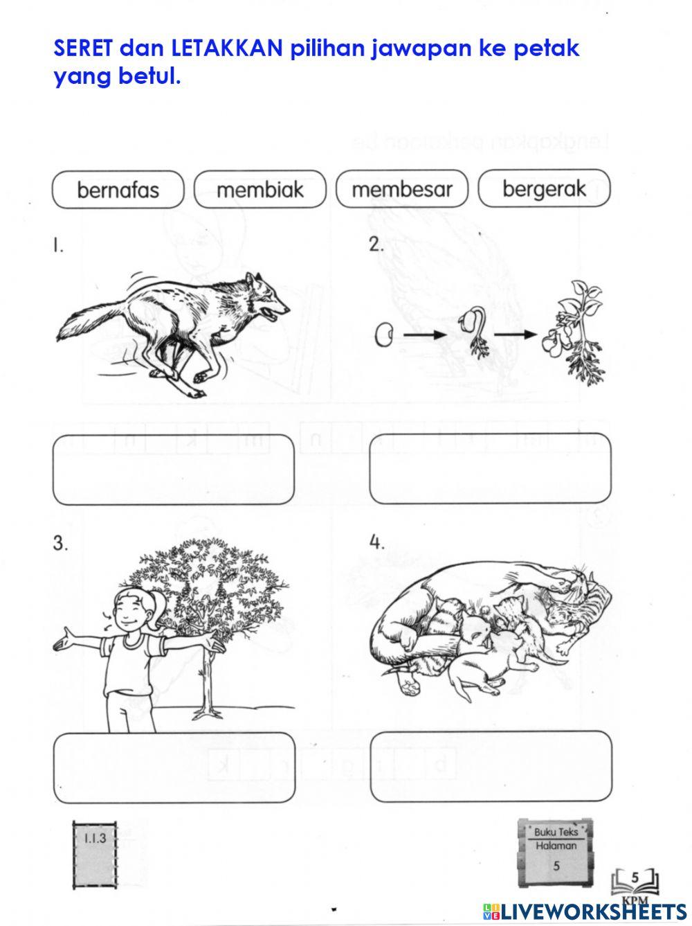 Pssas ppki tahun 4-05