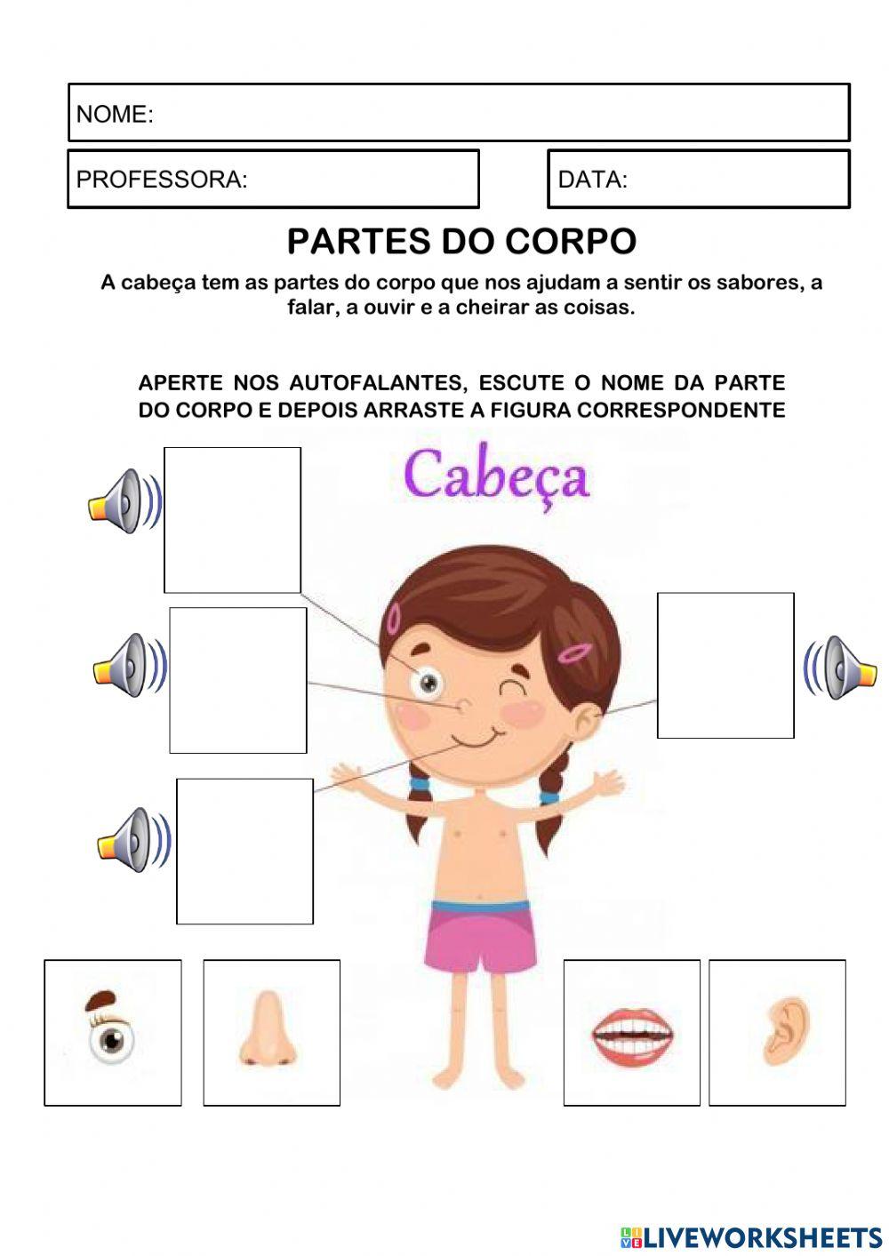 Partes do corpo: Cabeça, tronco e membros Partes do corpo: Cabeça, tronco e membros