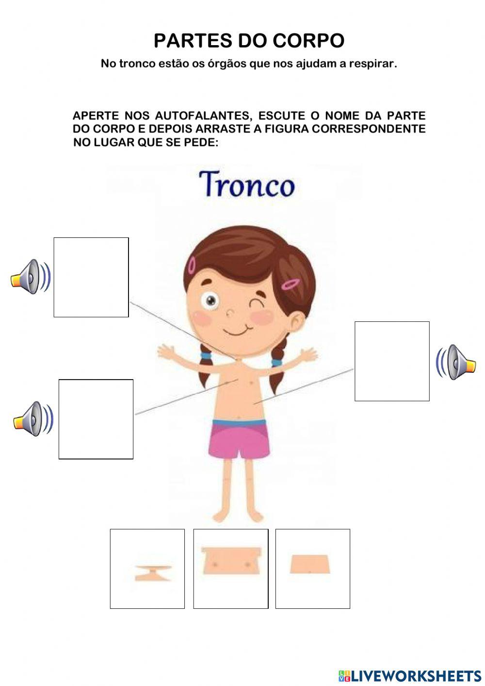 Partes do corpo: Cabeça, tronco e membros Partes do corpo: Cabeça, tronco e membros