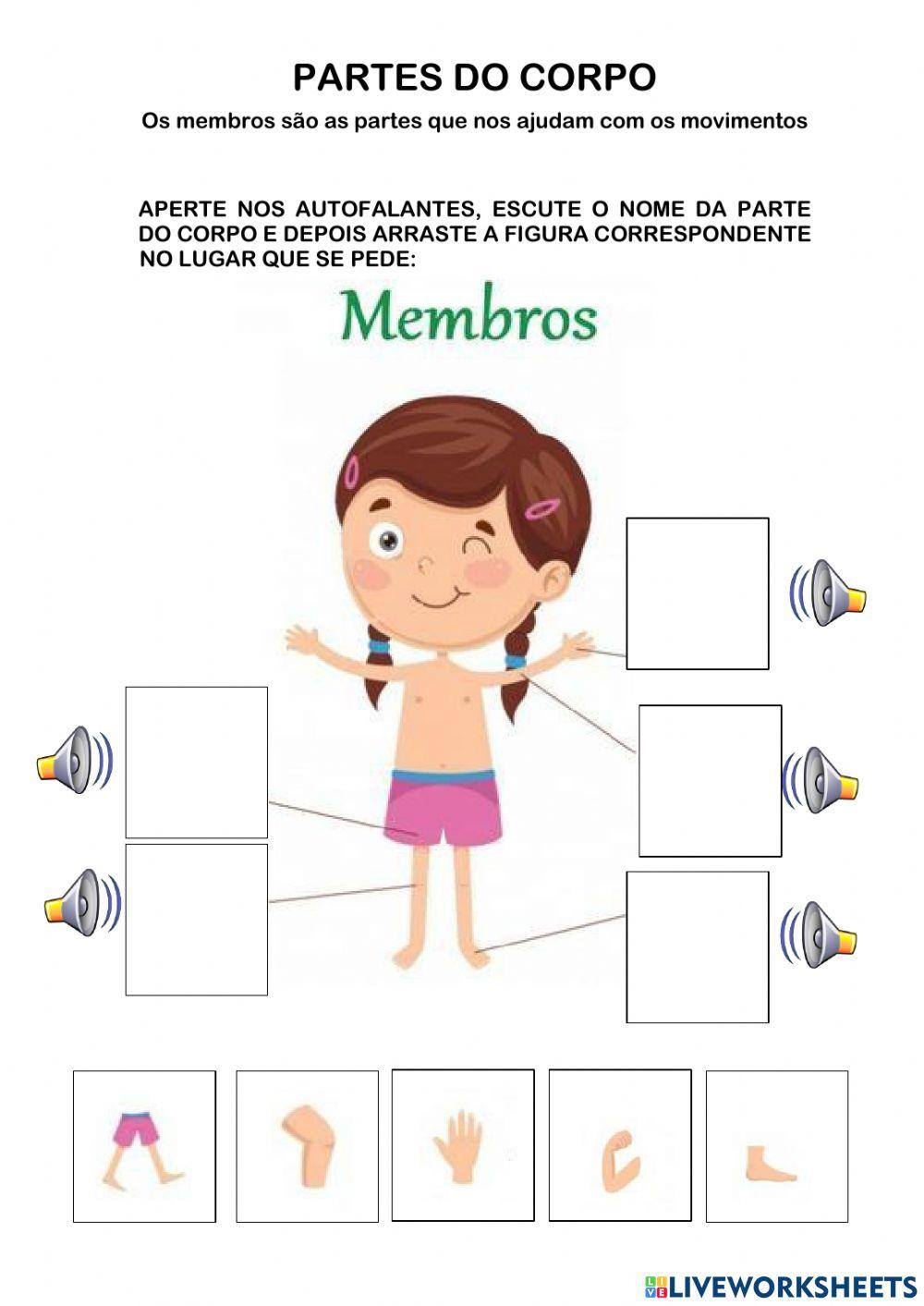 Partes do corpo: Cabeça, tronco e membros Partes do corpo: Cabeça, tronco e membros