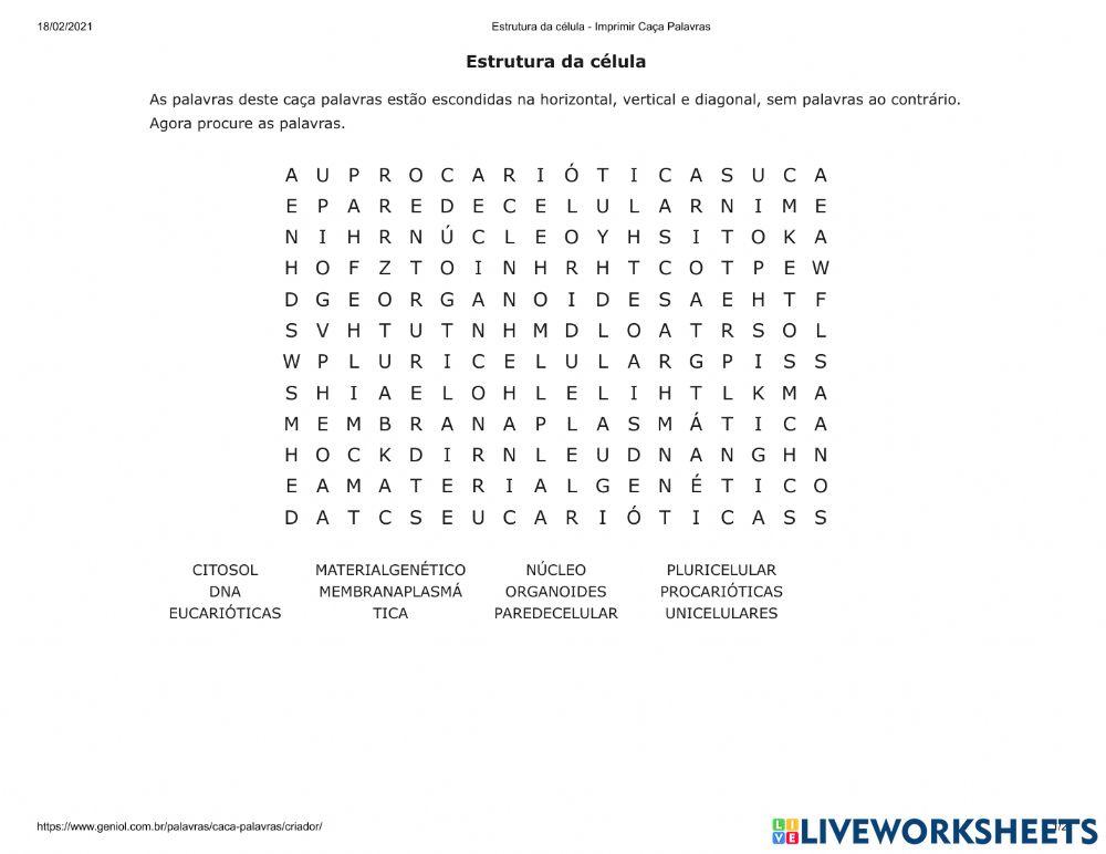 Estrutura da célula