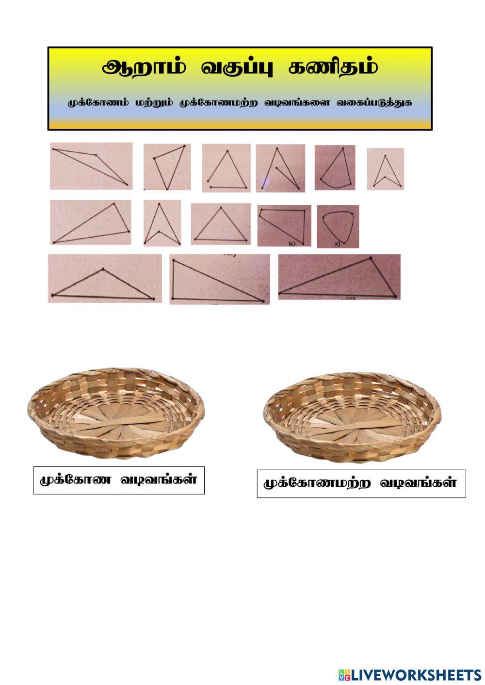 ஆறாம் வகுப்பு முக்கோணம் ws001