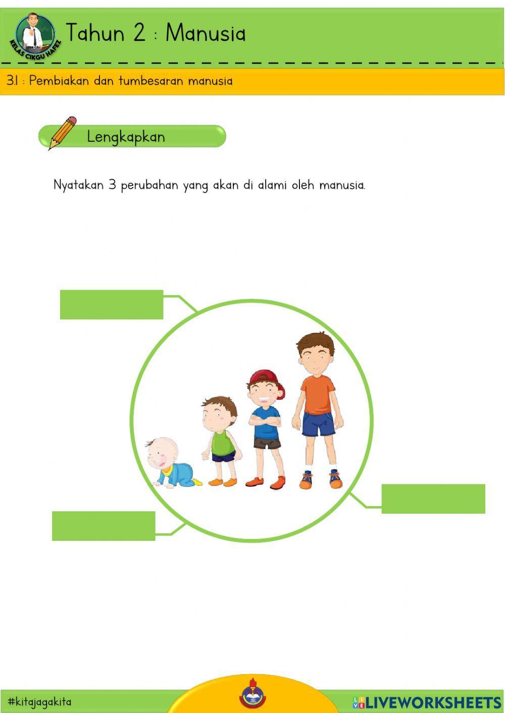 Sains T2 : Pembiakan dan tumbesaran manusia