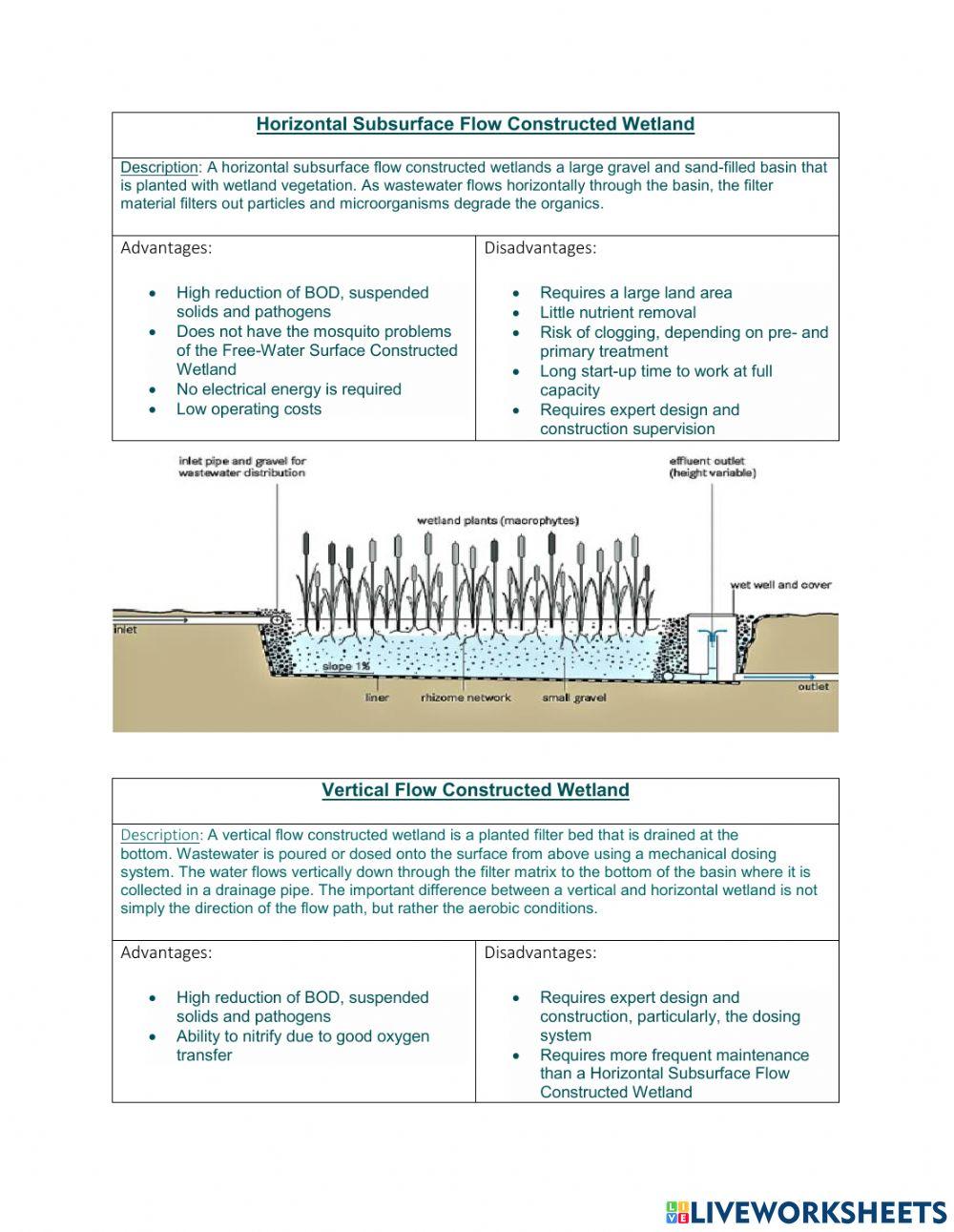 Plan an InvestigationWetlands worksheet Live Worksheets
