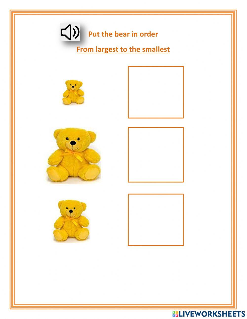 Sequencing by size - largest to smallest - Bear - Neo, Dashly