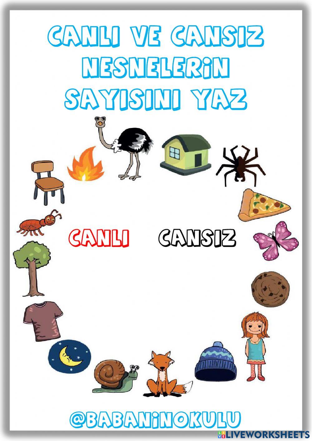 SALI - CANLI-CA… | Free Interactive Worksheets | 6431904