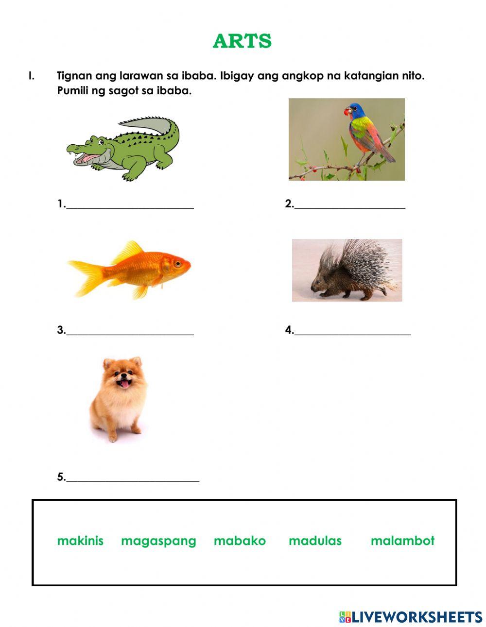 Lingguhang Pagsusulit sa Music at Arts