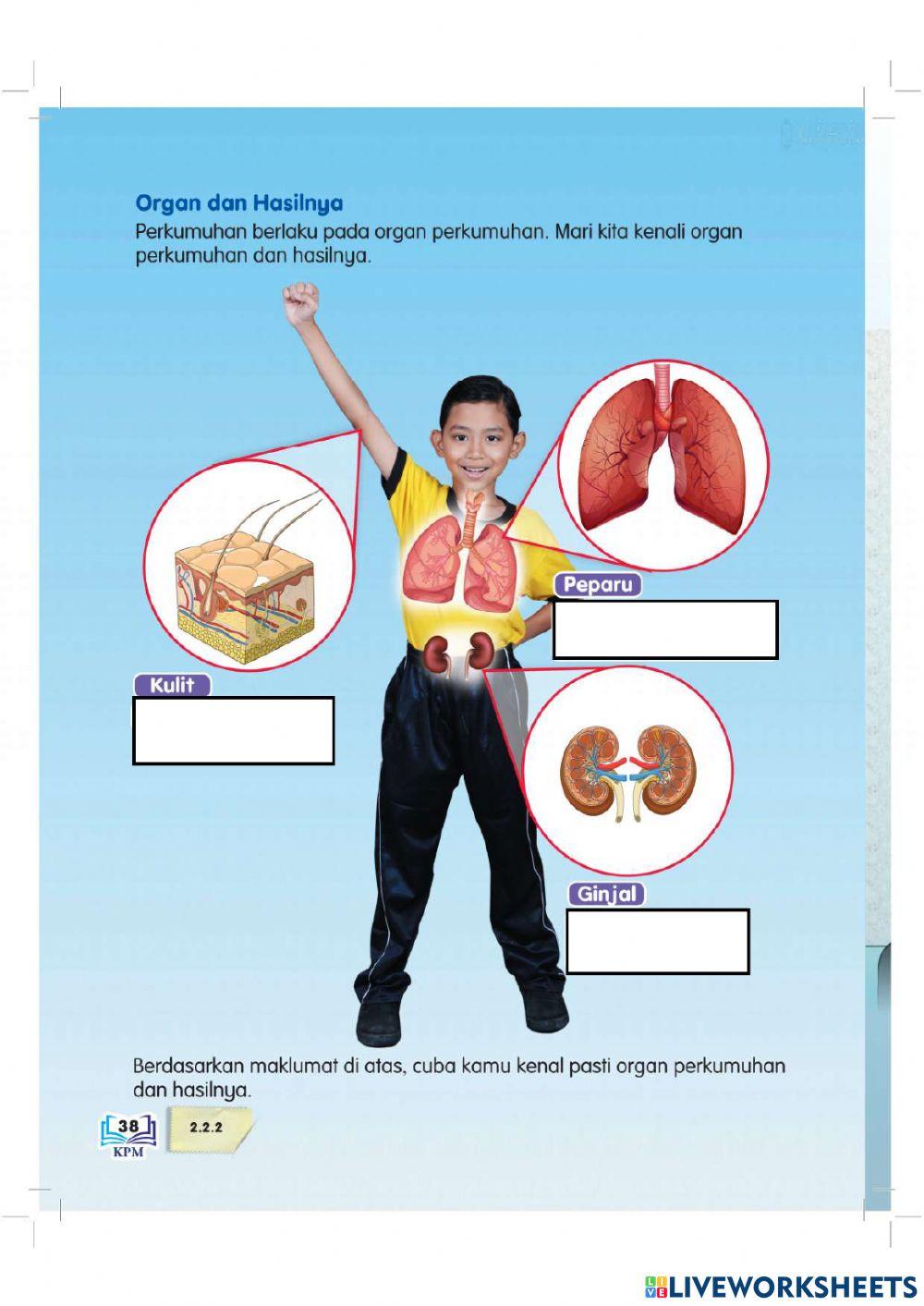 Perkumuhan dan penyahtinjaan