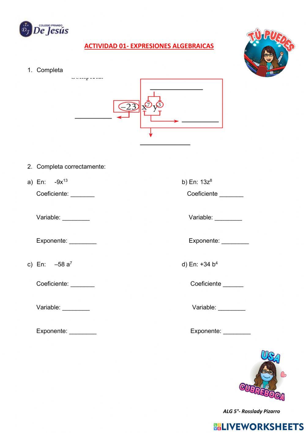 Término  algebraico