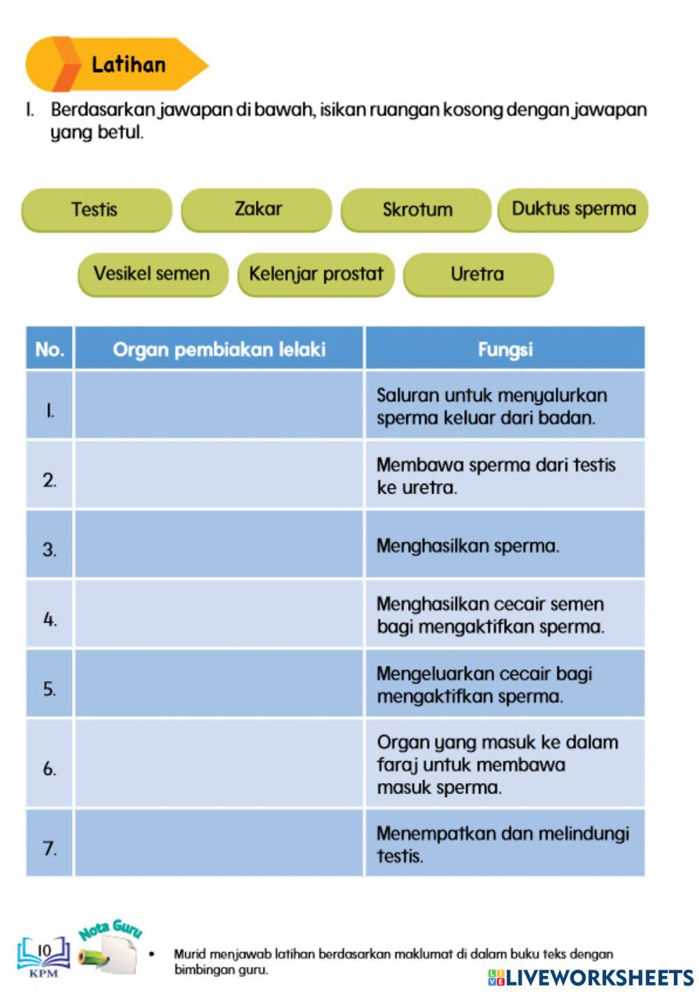 Organ Pembiakan dan Fungsinya