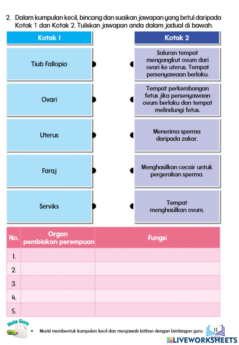 Organ pembiakan dan fungsinya