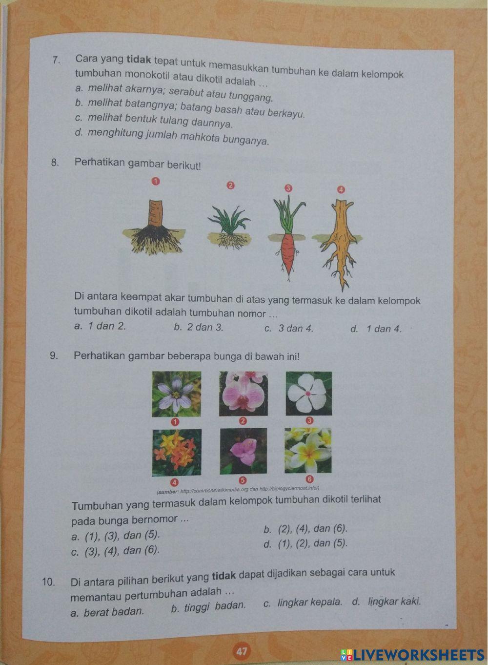 Latihan KUARK Seri 4