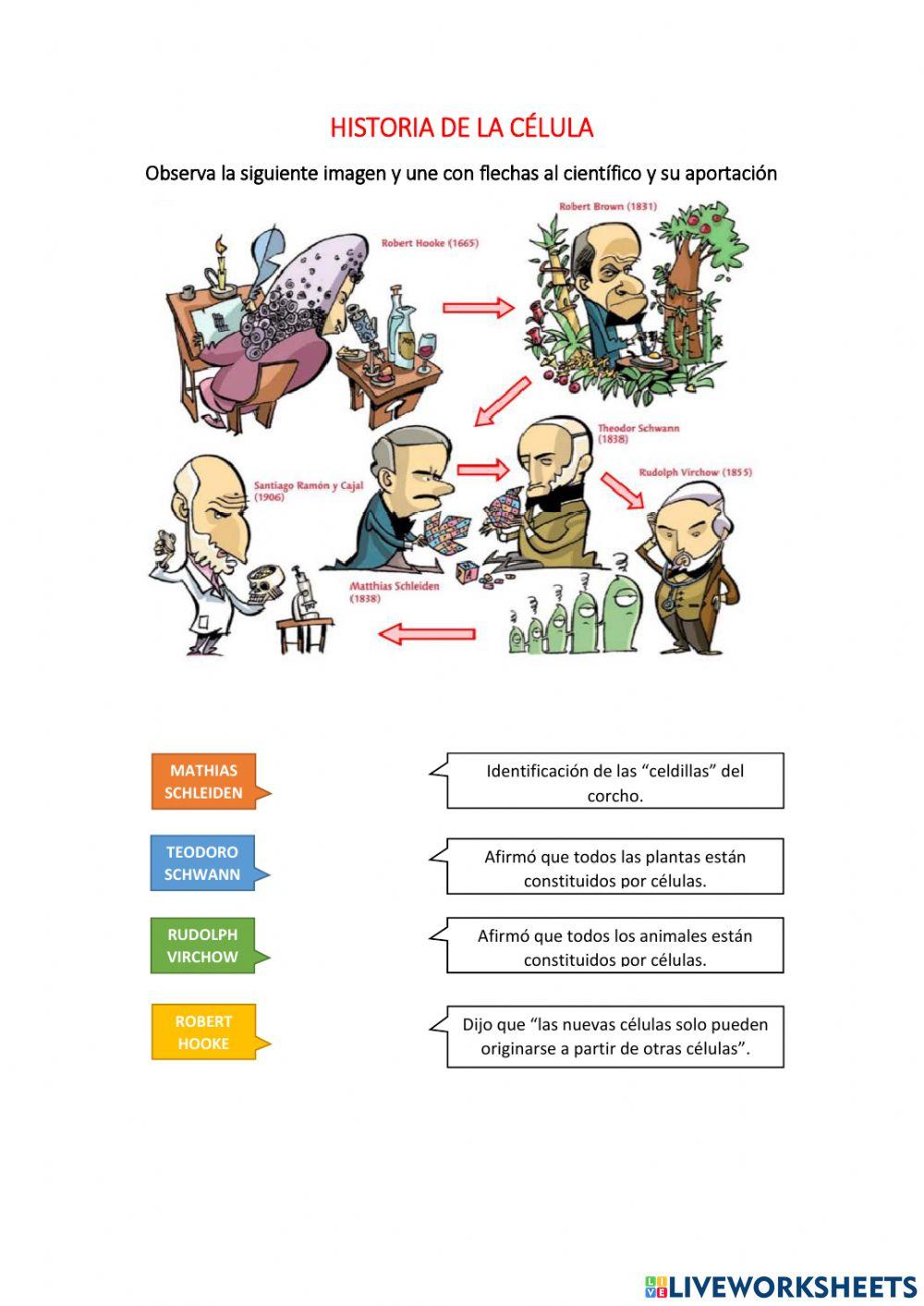 Historia de la célula