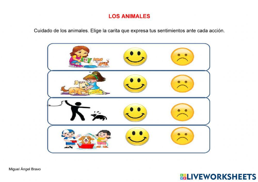 Animales
