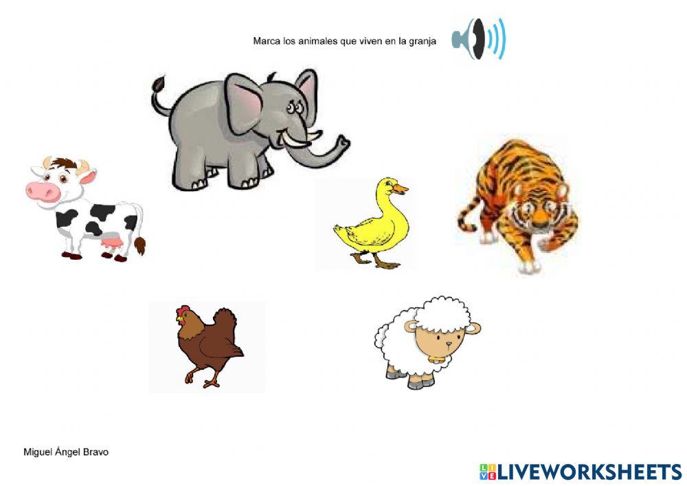 Animales
