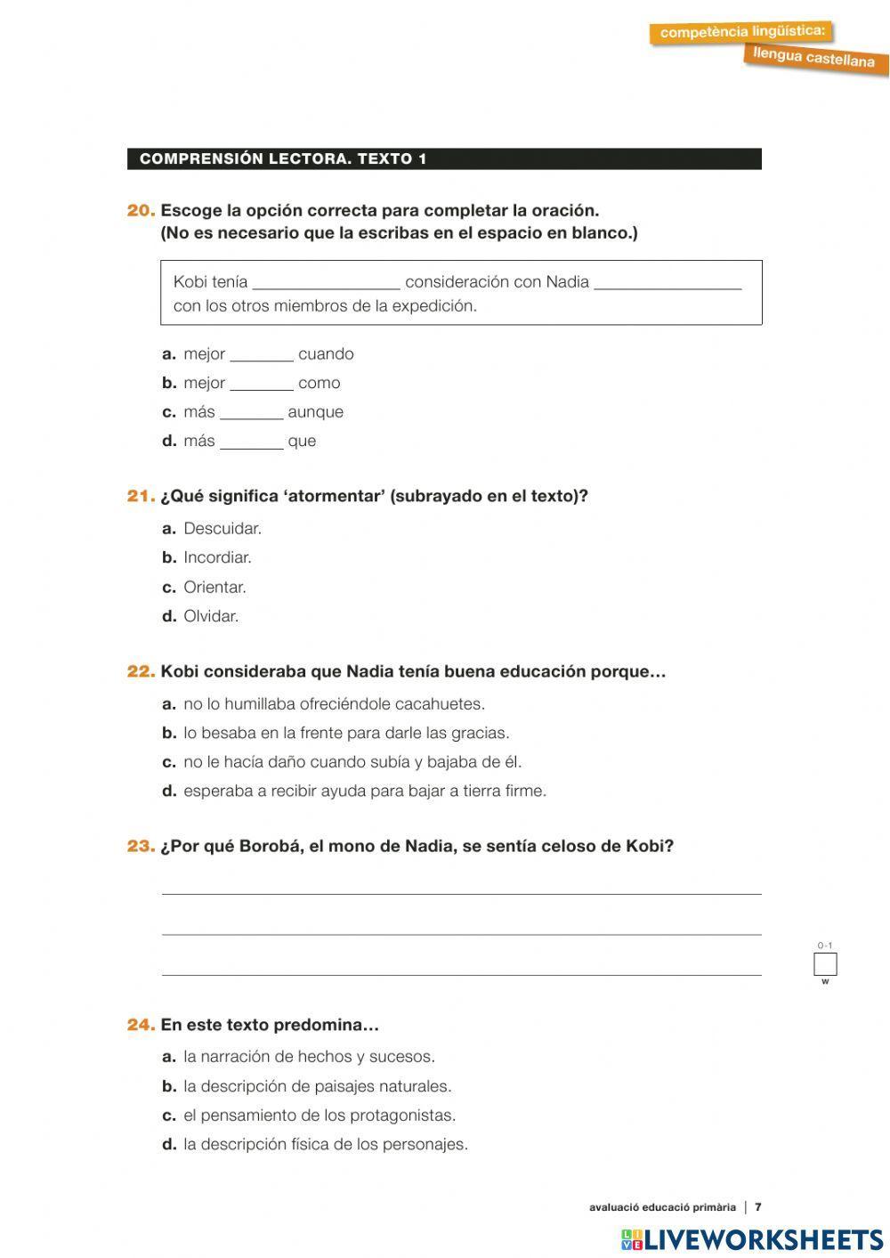 Competencias castellano