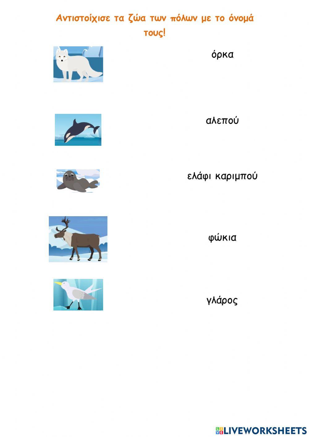 Τα ζώα των πόλων