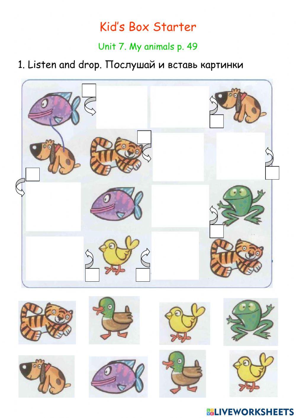 Wordwall kids starter. Kids Box Starter. Kids Box Starter Unit 1. Kids Box Starter Unit 2. Kids Box Starter задания.