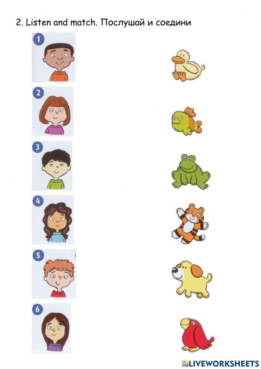 Kid's Box Starter. My animals p.49