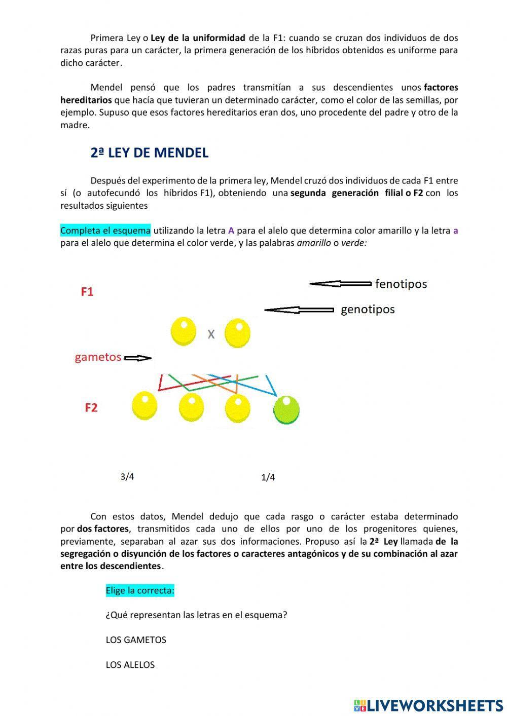 Conceptos de genética y LEYES DE MENDEL